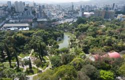Vista aérea do Parque Municipal Américo Renneé Giannetti, durante o dia.