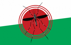 Imagem do mosquito Aedes aegypti, transmissor das doenças dengue, Zika e Chikungunya, sobre um alvo vermelho. 
