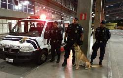 Três guardas municipais e um cachorro estão em uma estação Move, com veículo da Guarda Municipal ao lado, durante a noite. 