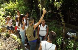 Monitora ambiental fala para grupo de jovens e adolescentes. A monitora mostra uma planta ao grupo