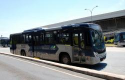 Ônibus da nova frota de ônibus, nas cores azul e cinza, em dia claro na cidade.