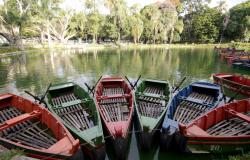 Seis Barcos parados dentro de lago do parque municipal