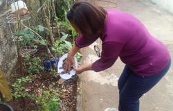Senhora retirando água do vasinho de planta no jardim de sua residência