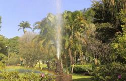 Chafariz, jardim e área verde do Parque Burle Marx
