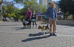 Criança segura cachorro pela coleira na Praça da Savassi
