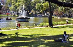 Cidadãos caminhando na orla do lago e uma mulher descansa sob as árvores no Parque Municipal Américo Renné Giannetti