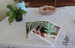 Livros artesanais, plantas e prato de comida em cima de uma mesa