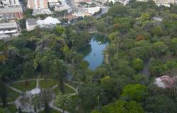 foto aérea do Parque Municipal Américo Renné Giannetti, muitas árvores e um lago central.